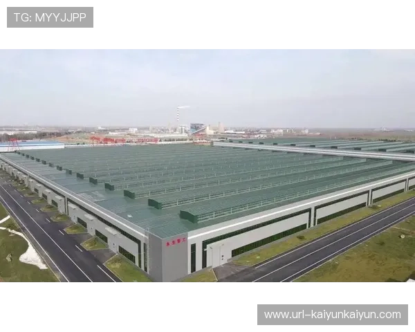 体育科技产业园区集聚效应显现，上下游协同创新效率高